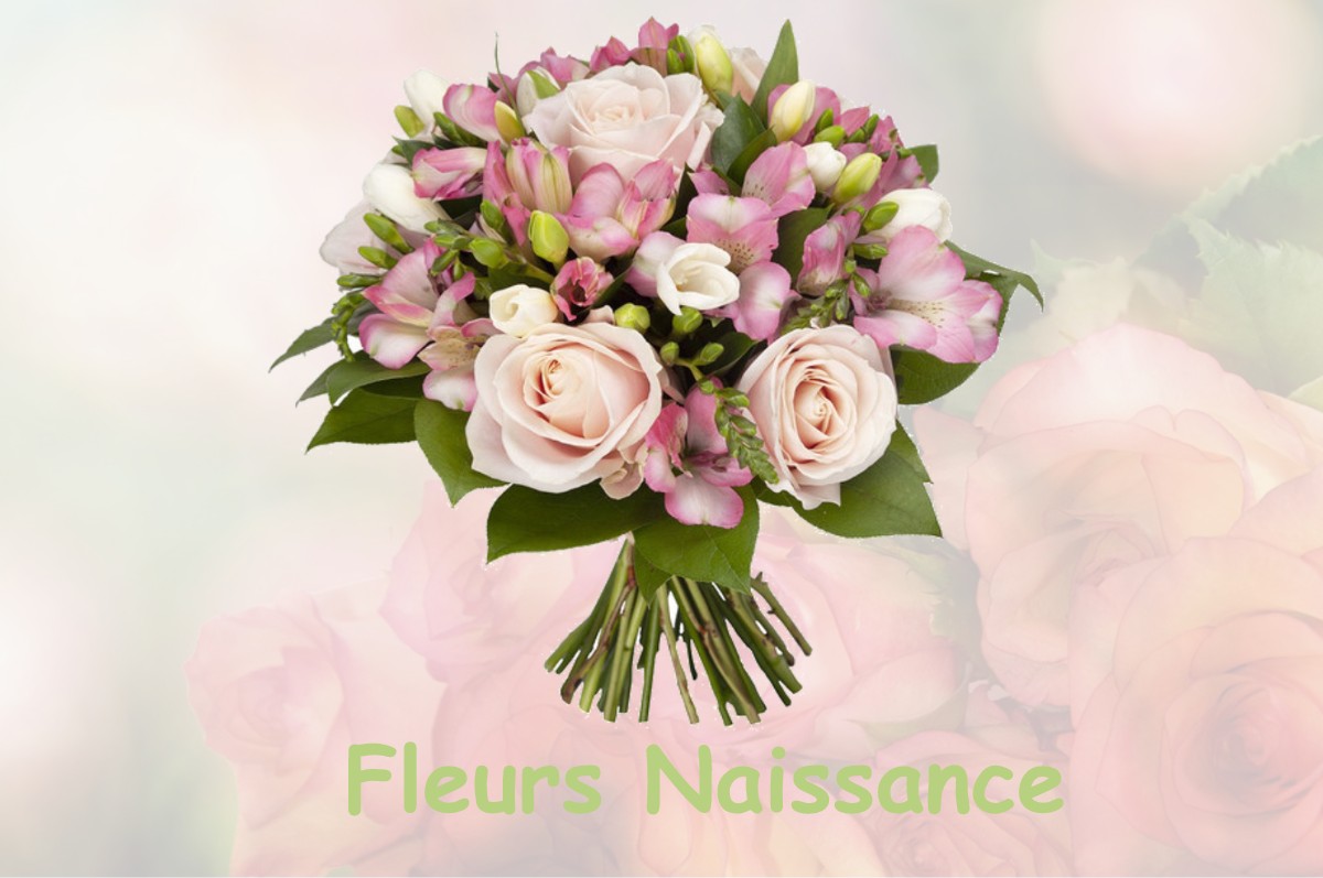 fleurs naissance DOISSIN