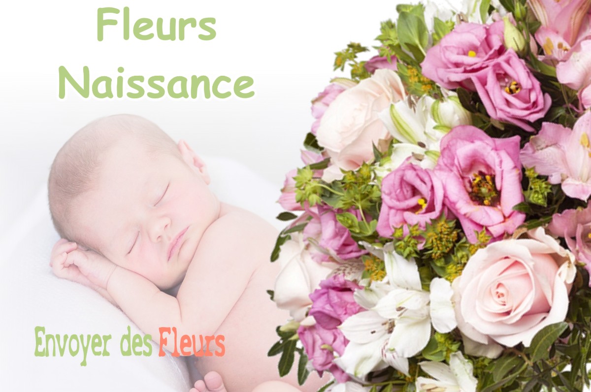 lIVRAISON FLEURS NAISSANCE à DOISSIN